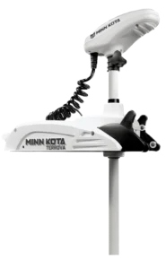 Min Kotta cut out